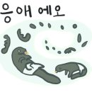렙타일송