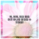 튼튼한의원 이미지