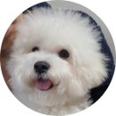 제천종합동물병원 이미지