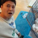 댕댕이 유치원 이미지