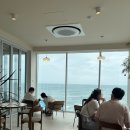 발한로 | [묵호/무코드] 묵호 신상 오션뷰 카페 내돈내산 솔직 후기