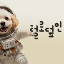 반달유치원 이미지