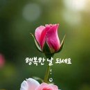 행복한날 Daum카페