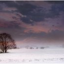 The Infini 이미지