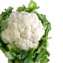 가을푸드 이미지