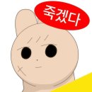 연세안경 이미지