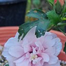 성재농장 이미지