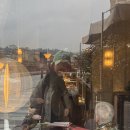 이탈리아 토스카나의 도자기 브랜드 지노리, 피렌체 지노리 카페 Ginori cafe 방문 후기