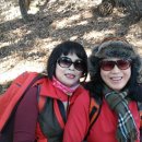 늘푸른꿈 이미지