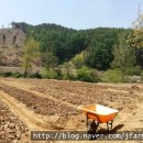 무주천마농장 이미지