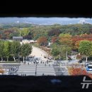 하늘종묘 이미지