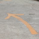 아이올래 이미지