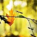 당신이 있어 좋은세상 이미지