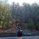 레드페이스안산 | 백두대간 함께한 레드페이스 재킷 (feat. 내추럴 타슬란 윈드 재킷)
