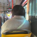 나영상사 | 12월 기록