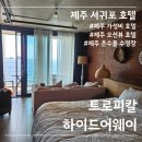 트로피컬하이드어웨이 | 제주 서귀포시 숙소 트로피컬 하이드어웨이 제주 숨은 감성 숙소 솔직후기 오션뷰 인피티니풀 조식까지...