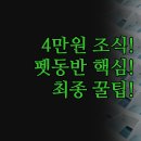 그레이 호텔 | 통영 가성비 숙소 추천 | 4만원대 조식 제공 그레이호텔 후기 | 반려동물 동반 가능한 도르가호스텔...