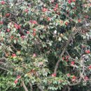 동아 행정사 사무소 이미지