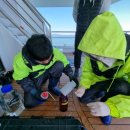 경기플라스틱 이미지