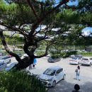 정일품삼계탕 이미지