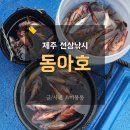 제주도 배낚시 선상낚시 함덕동아호 후기 (ft.예약업체, 준비물 등)