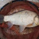 감곡낚시터 이미지