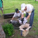 사선대야영장 이미지