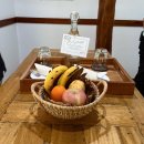 아지의스낵 | 보홀 리조트 도나텔라 호텔 후기 / 조식 / 수영장 / 이용 꿀팁