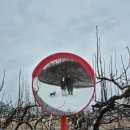 (주)산강아지 이미지