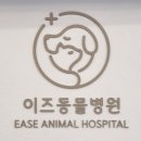 외대 동물병원 이즈동물병원 건강검진 내돈내산