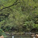 몽지리 캠핑장 이미지