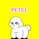 우지 커피<전북 남원점> | 전북 남원 한옥 숙소 리스테이 남원 애견 동반 페텔 예약