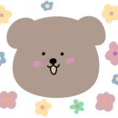 보보스헤어 이미지