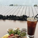 한경팜 | 햅삐했던 제주 살이🏝️🩵💚(24.05.28-24.06.10)②