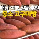 몽소로 | [해남] 해남 여행 기념품으로 사 온 몽소 고구마빵