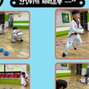 경희대명문태권도 이미지