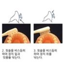 루미에르(Lumiere)