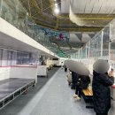 [여름방학 특강] (1~3학년) 커피에서 버섯이 자라요 | 목동아이스링크 피겨스케이팅 방학특강 강습후기 강습비 주차정보