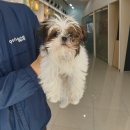 정몽주로 이미지