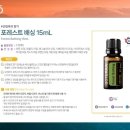 테라글로벌