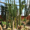 자연생태공원 부천식물원 | 부천 자연 생태공원 다녀온 후기