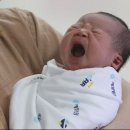 깨끗한환경 이미지