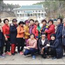 동계5리 Daum카페