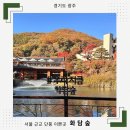 도척면 도웅리 269-1 | 서울 근교 단풍 명소 화담숲 모노레일 후기