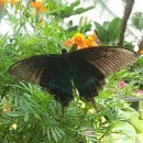 스마트보청기 청각언어센터 이미지