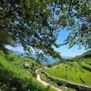 남면로-1 이미지