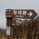청학이골 민박 티스토리