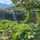 포항시북구29 이미지