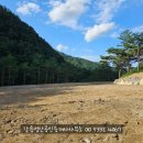 강릉성산 공인중개사사무소 이미지