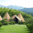 대신주말농장 정보화마을 이미지